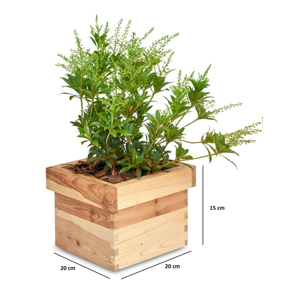 Doniczka kwadrat 20x20x15 cm Natural wood