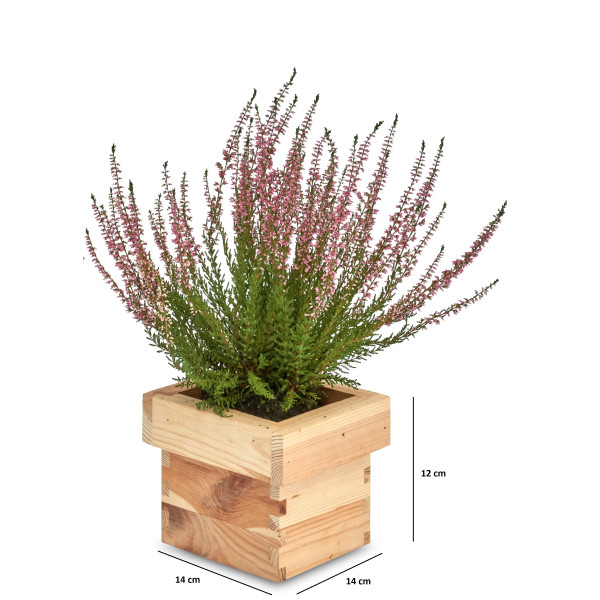 Doniczka kwadrat drewniana Natural wood 14x14x12 cm