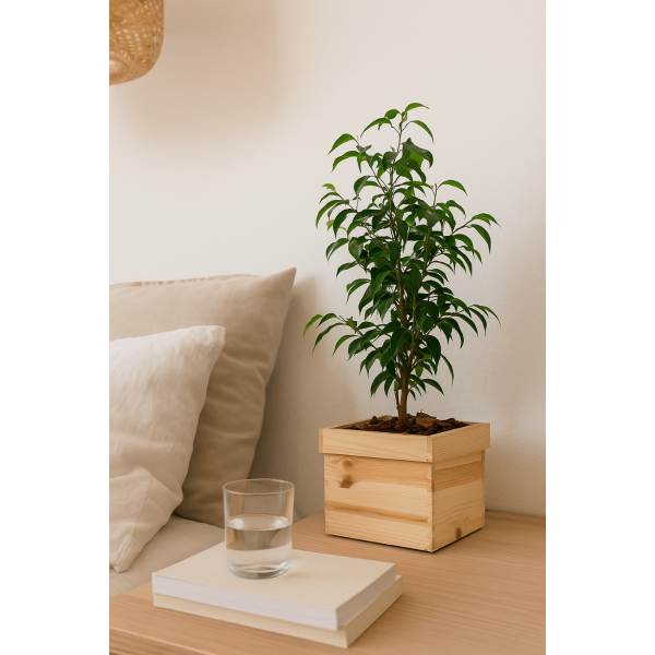 Doniczka kwadrat drewniana 26x26x18 cm