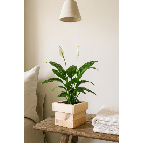 Doniczka kwadrat drewniana 14x14x12 cm