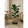 Podstawek  drewniany okrągły 35 cm Jet black