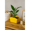 Doniczka drewniana 24x13x10,5 cm Żółta