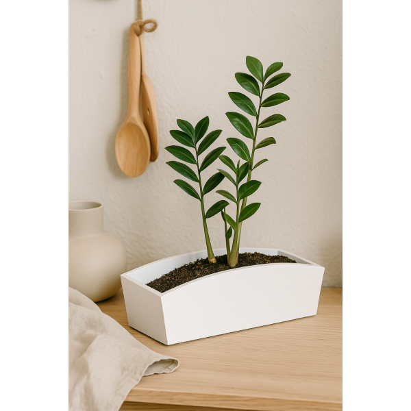 Doniczka drewniana 34x13x10 cm Biała