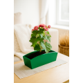 Doniczka drewniana 34x13x10 cm Zielona