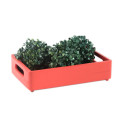 Skrzynka drewniana 30x20x7 cm Pure red