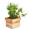 Doniczka kwadrat 20x20x15 cm Natural wood