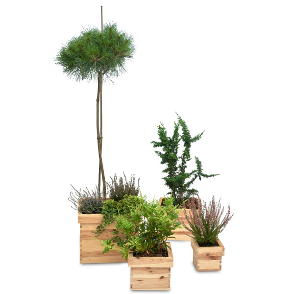 Doniczka kwadrat drewniana Natural wood 14x14x12 cm