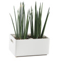 Skrzynka drewniana 30x20x13,5cm Signal white
