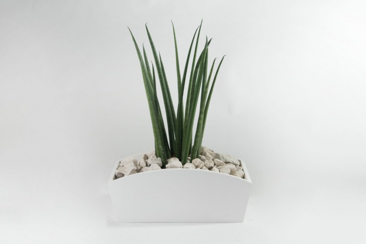 doniczki drewniane białe