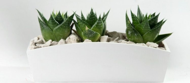 Ciekawe połączenie - sztuczne kwiaty i drewniane doniczki!