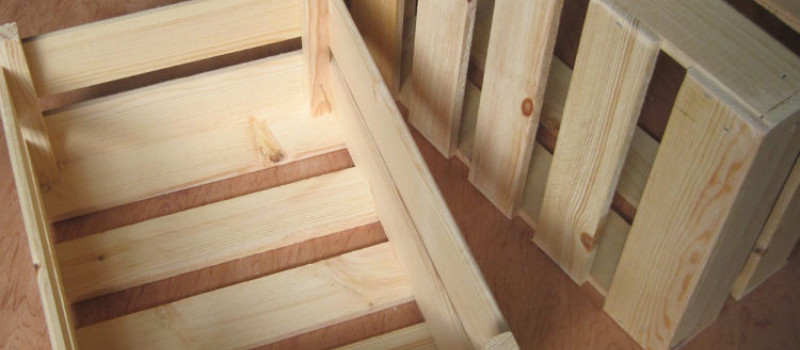 Owoce i warzywa – jak przechowywać w domu?