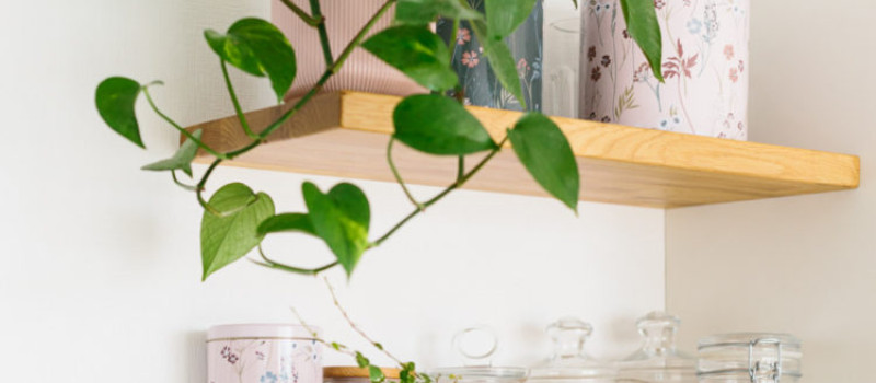 Półki ścienne i regały z drewna - praktyczne rozwiązanie!