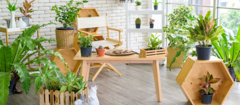 Drewno w ogrodzie i na tarasie!